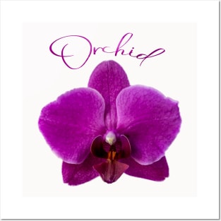 Purple Orchid and Text Posters and Art